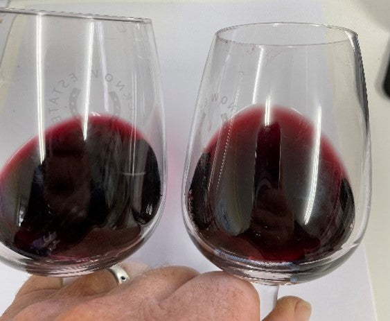 Tale of Two Syrah's