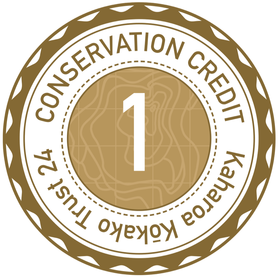 Kōkako Farms Conservation Credits supporter — Kaharoa Kōkako Trust
